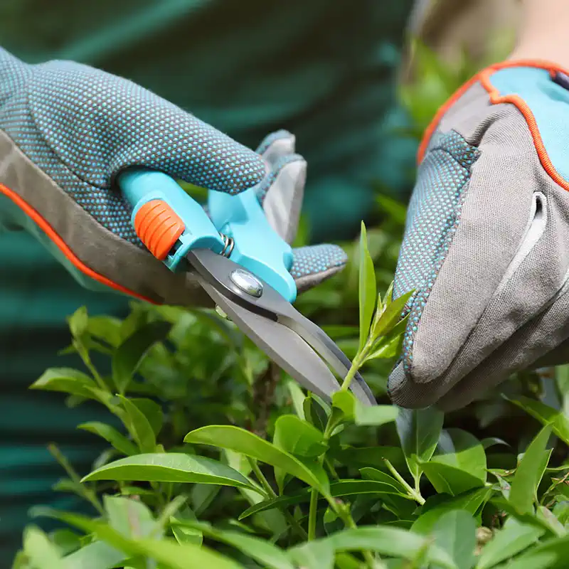 Gartenpflege Gartenunterhhalt